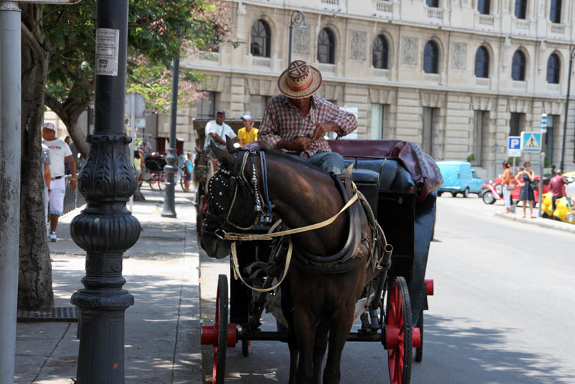 Vormittag in Havanna. 