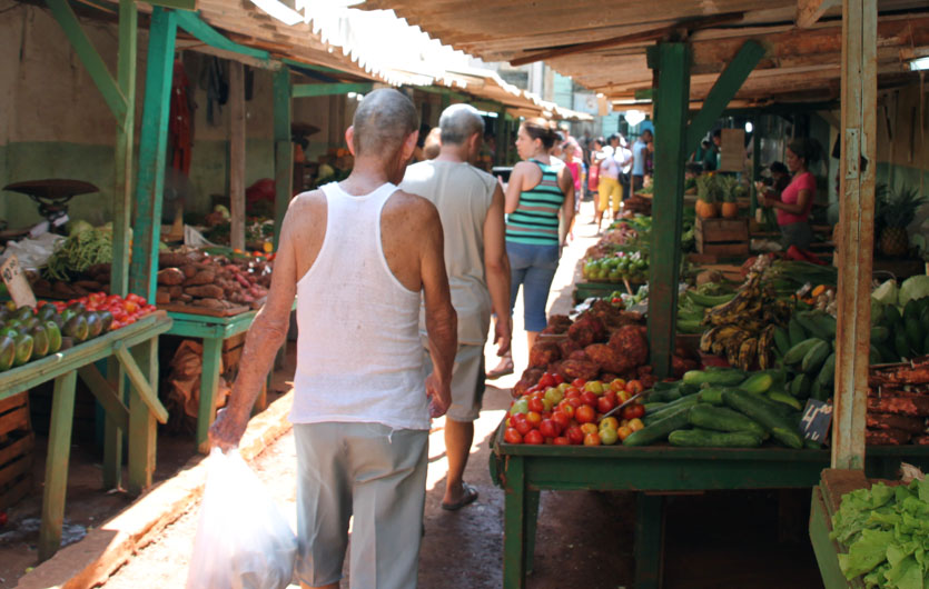 Bauernmarkt in Havanna Kuba