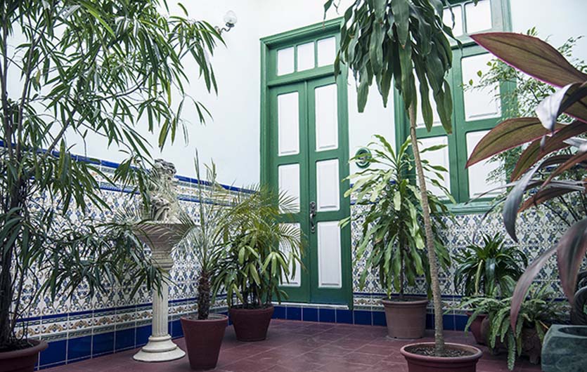 San Basilio Santiago de Cuba Pflanzendeko 